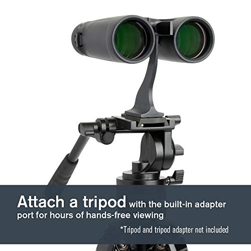 Celestron Outland X 8x42 71347 Binoculars - Image 4
