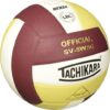 Tachikara Indoor/Outdoor Volleyball with Dual Bladders