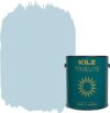 Matte Sea Balm Interior Paint, 1 Gallon