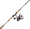 PENN Passion II Spinning Reel & Rod Combo