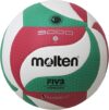 Molten Professional Volleyball Ball