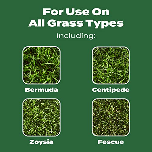 Scotts All Grass Types Lawn Fertilizer, 5,000 sq. ft - Image 5