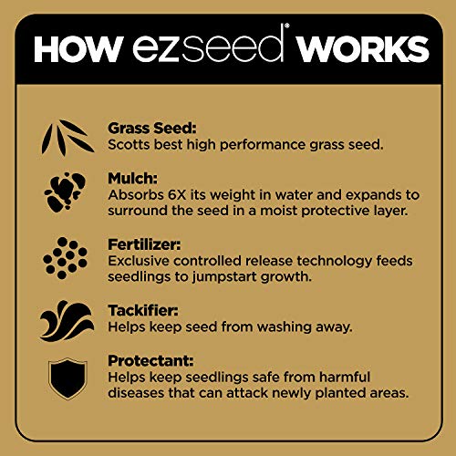 Scotts EZ Seed Patch for Tall Fescue Lawns - Image 5