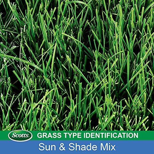 Scotts Turf Builder Sun & Shade Grass Seed, 7 lbs - Image 5