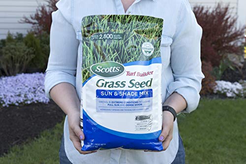 Scotts Turf Builder Sun & Shade Grass Seed, 7 lbs - Image 2