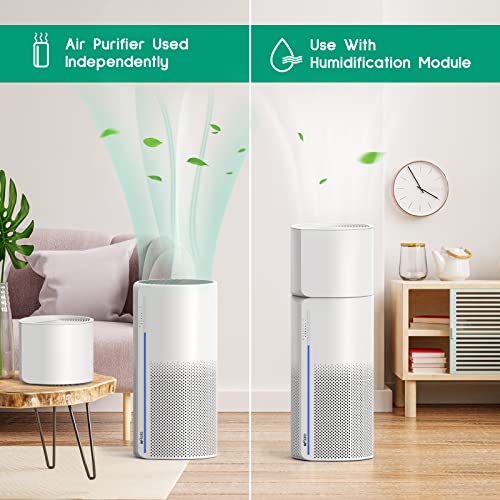 Afloia 2 In 1 Air Purifier With Humidifier - Image 3