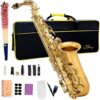 CADWAY Alto Saxophone Eb With Accessories (Gold)