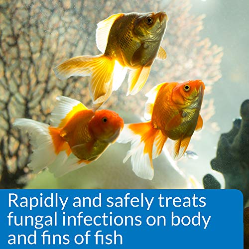 API PIMAFIX Antifungal Fish Remedy 16-Ounce Bottle - Image 3