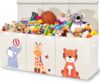 Zebra Baby Baby Toy Storage Organizer – Large Chest