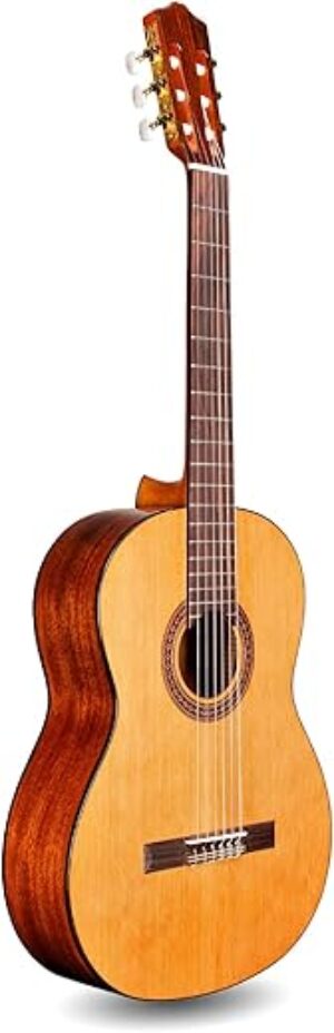 Cordoba C5 CD Lefty Classical Nylon Guitar
