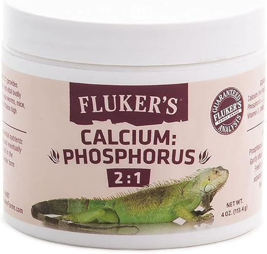 Reptile Health & Wellness