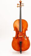D Z Strad D Z Strad Cello Model 250 (4/4)