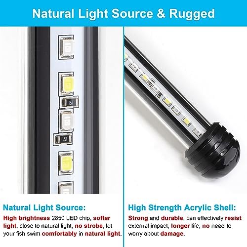 DaToo Submersible 4W LED Aquarium Light with Timer - Image 5