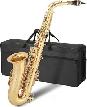 GODECOR E Flat Alto Saxophone With Accessories