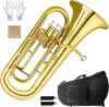 TianChunyue Euphonium Brass Instrument with Case