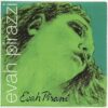 Pirastro Evah Pirazzi Violin D String Medium