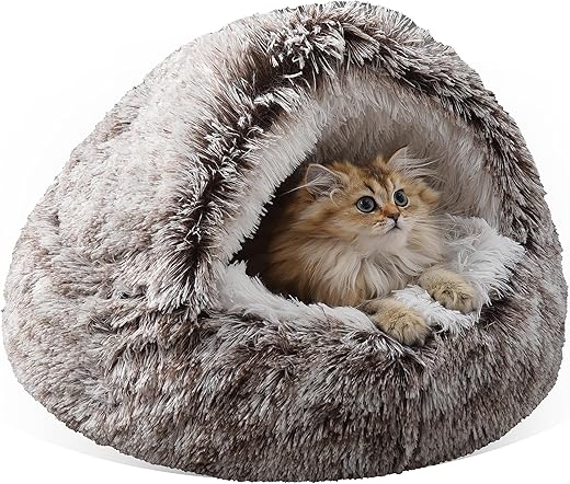 Cat Beds