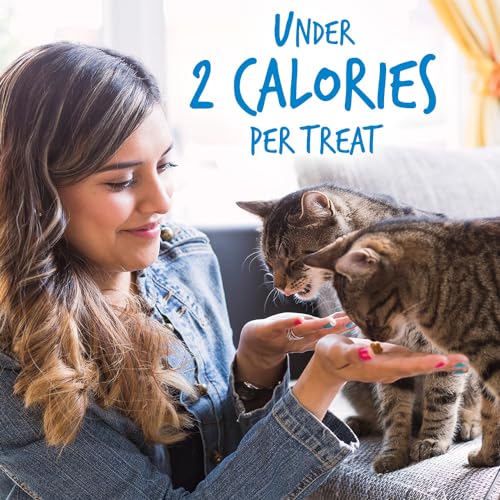 Fruitables Crunchy Low Calorie Cat Treats - 2.5 Ounces - Image 5