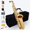 AISIWEIER Gold E Flat Alto Saxophone Eb