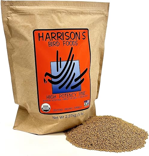 Bird Food