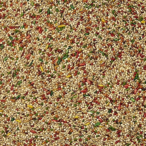 Kaytee Forti-Diet Pro Health Parakeet Food 2lb - Image 3