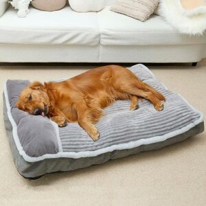 Dog Beds