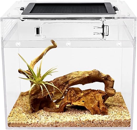 Terrariums & Enclosures