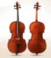 D Z Strad Model 300 Handmade Cello with Case