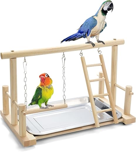 Bird Perches & Stands