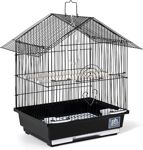 Bird Cages