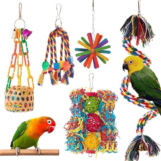 Bird Toys