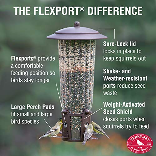 Perky-Pet 334-1SR Squirrel-Be-Gone Max Bird Feeder - Image 2