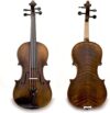Sky Music Professional Hand-made Full Size Acoustic Violin