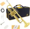 Yasisid Standard Trumpet Set With Accessories (Golden)