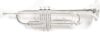 Roy Benson Trumpet With Case, RB701072