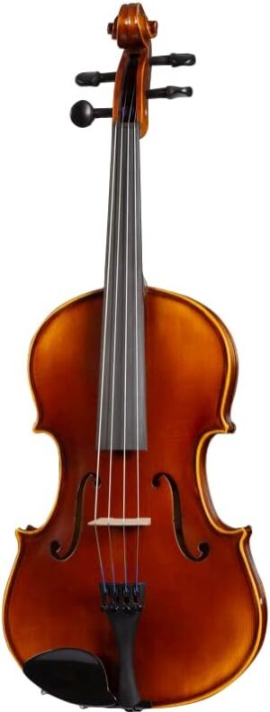 D Z Strad Viola Model 120 with Accessories (14″)