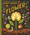 What’s Inside A Flower?: And Other Questions About Science & Nature By Rachel Ignotofsky