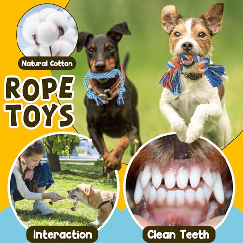 Zeaxuie 9 Pack Puppy Teething Toys with Squeaky - Image 5
