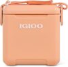 Igloo 11 Qt Tag Along Picnic Cooler