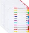 Amazon Basics 12 Tab Monthly Dividers, Multicolor, 10-Pack