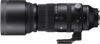 Sigma 150-600mm F5-6.3 DG DN Lens