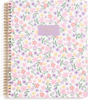Blue Sky 2025 Weekly & Monthly Planner, Darby