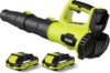 LEAPUL 21V Electric Cordless Leaf Blower