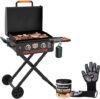 BLACKSTONE 22 Inch Griddle With Hood And Stand