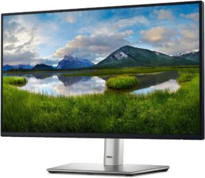 Dell 24″ Full HD Monitor P2422H