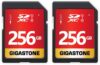 Gigastone 256GB 2-Pack SDXC Memory Card