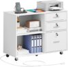 DWVO 3 Drawer File Cabinet With Lock