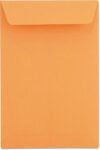 Universal 40105 Catalog Envelope, 6 x 9, Kraft