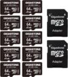 Gigastone 64GB 10-Pack Micro SD Card, 4K UHD