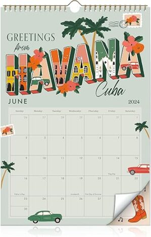 ZICOTO Aesthetic 2024-2025 Wall Calendar